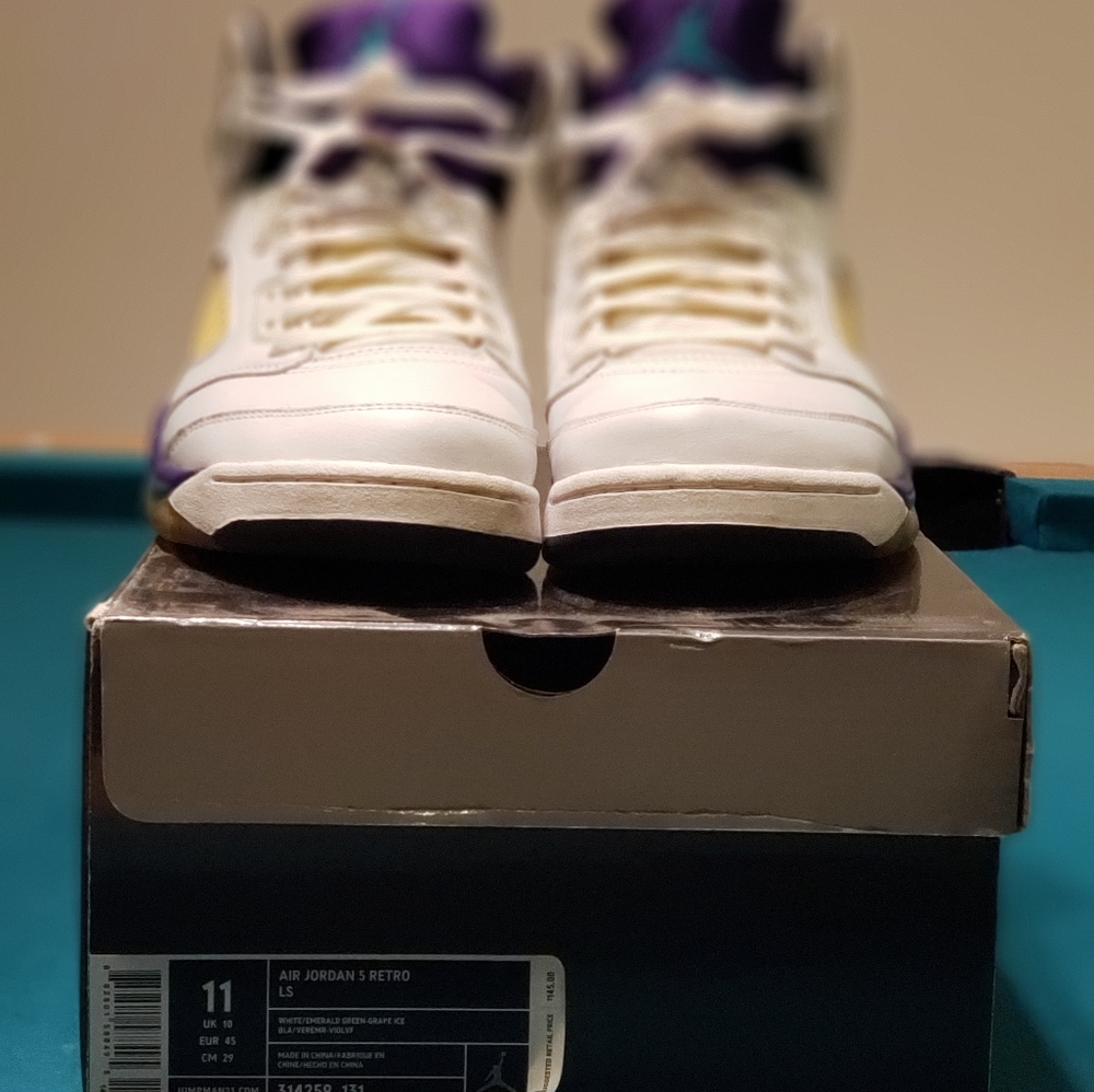 Air Jordan 5 Retro Grapes (2006)
